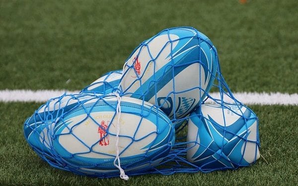 Ballons de rugby dans un filet sur gazon.